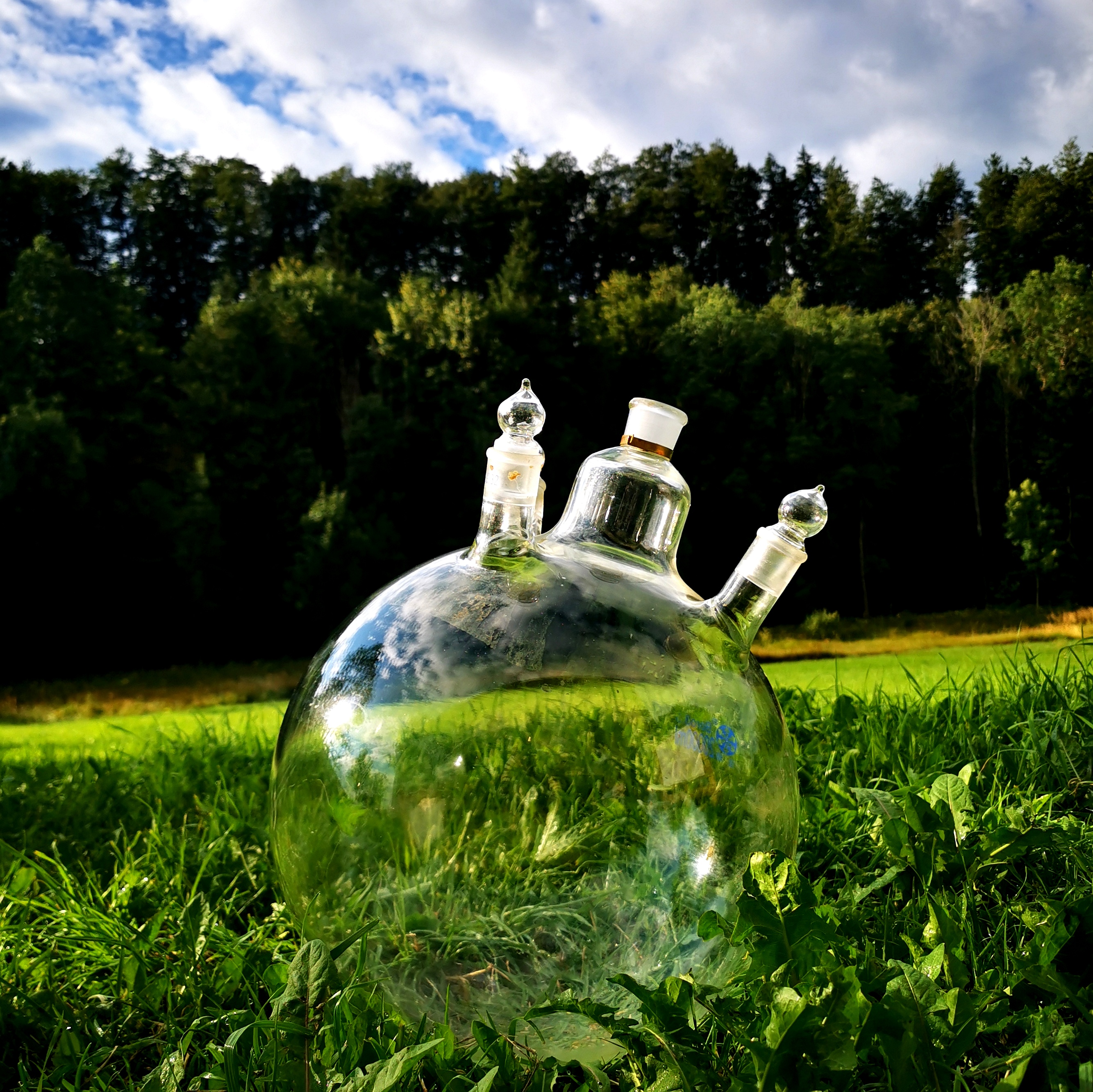 Alambic de verre de la distillerie Bergines dans la prairie
